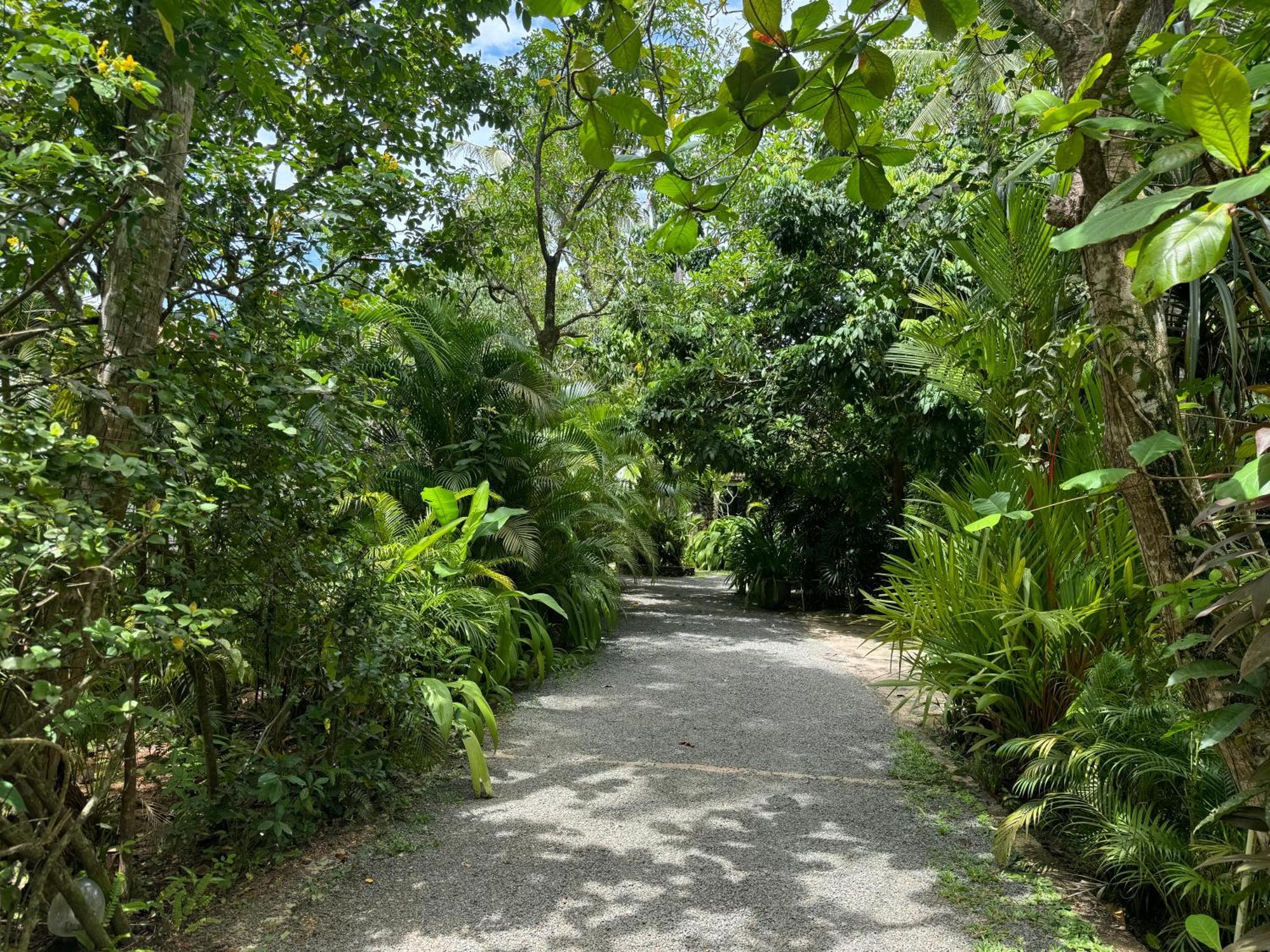 金甘加住宿旅馆 高尔 外观 照片