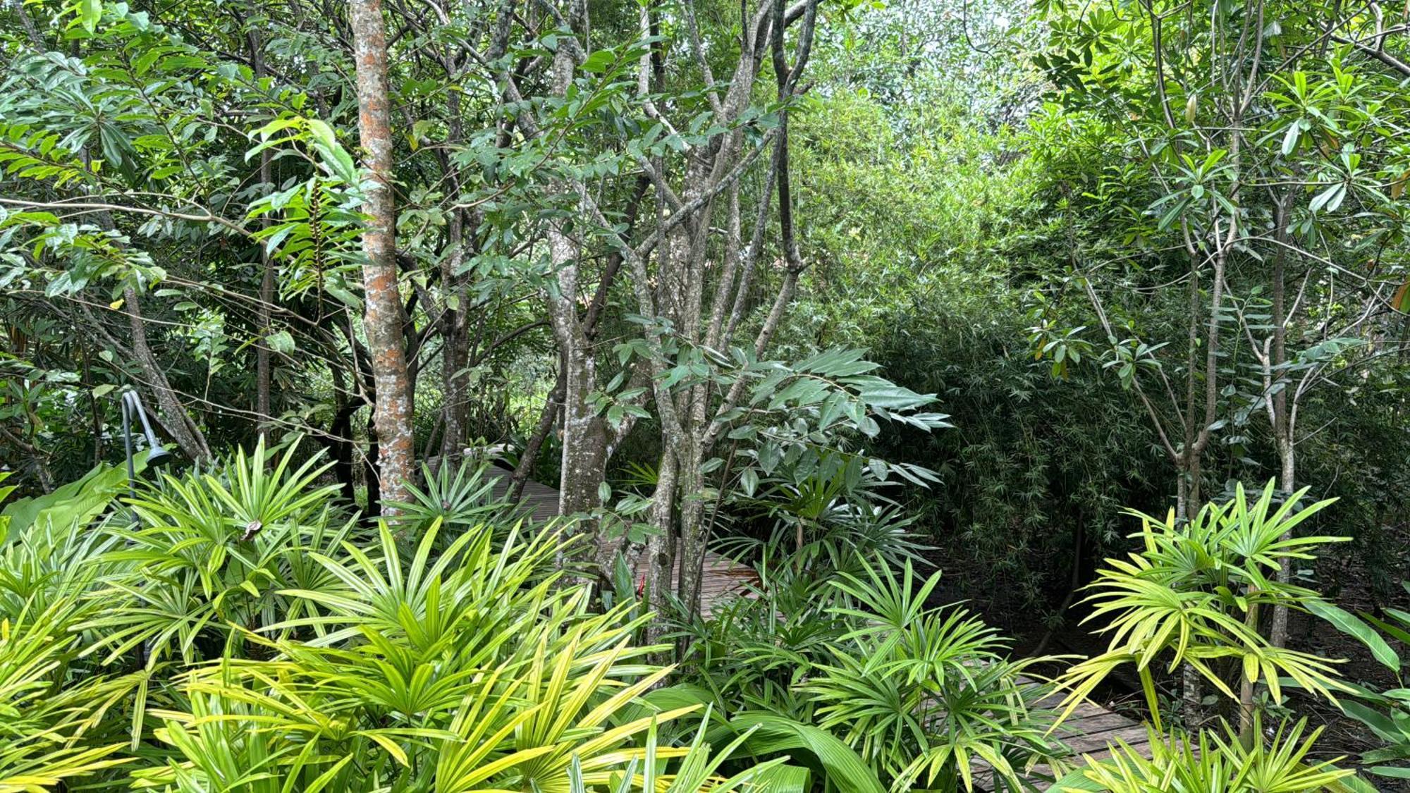 金甘加住宿旅馆 高尔 外观 照片